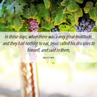 Picture 06 - Mark 8:1 WEB - In those days, when there was a very great - Bible Verse Picture