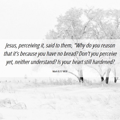 Picture 06 - Mark 8:17 WEB - Jesus, perceiving it, said to them, 