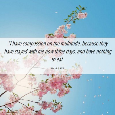 Picture 06 - Mark 8:2 WEB - 
