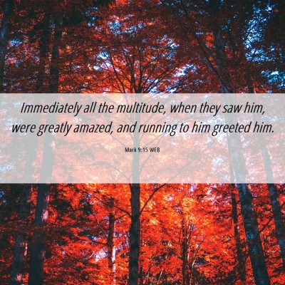 Picture 06 - Mark 9:15 WEB - Immediately all the multitude, when they saw him, - Bible Verse Picture