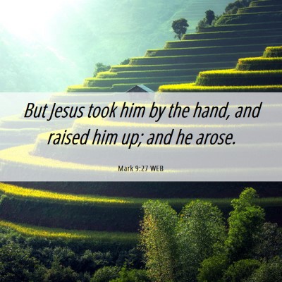 Picture 06 - Mark 9:27 WEB - But Jesus took him by the hand, and raised him - Bible Verse Picture