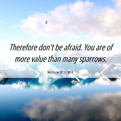 Picture 06 - Matthew 10:31 WEB - Therefore don't be afraid. You are of more value - Bible Verse Picture