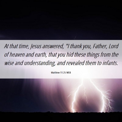 Picture 06 - Matthew 11:25 WEB - At that time, Jesus answered, 