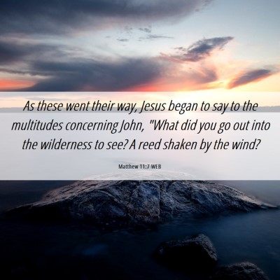 Picture 06 - Matthew 11:7 WEB - As these went their way, Jesus began to say to - Bible Verse Picture