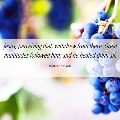 Picture 06 - Matthew 12:15 WEB - Jesus, perceiving that, withdrew from there. - Bible Verse Picture
