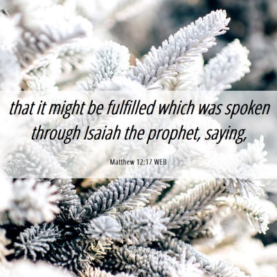 Picture 06 - Matthew 12:17 WEB - that it might be fulfilled which was spoken - Bible Verse Picture