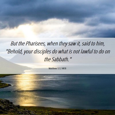 Picture 06 - Matthew 12:2 WEB - But the Pharisees, when they saw it, said to him, - Bible Verse Picture
