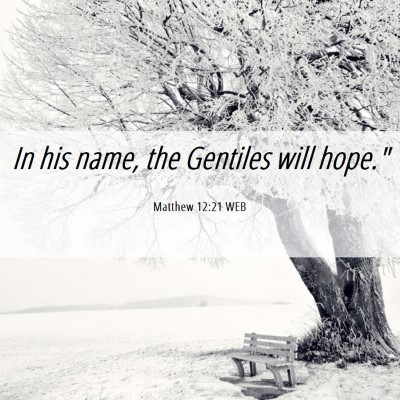 Picture 06 - Matthew 12:21 WEB - In his name, the Gentiles will - Bible Verse Picture