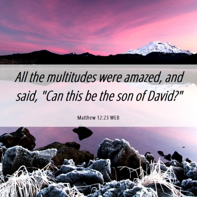 Picture 06 - Matthew 12:23 WEB - All the multitudes were amazed, and said, 