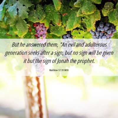 Picture 06 - Matthew 12:39 WEB - But he answered them, 