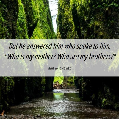 Picture 06 - Matthew 12:48 WEB - But he answered him who spoke to him, 