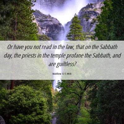 Picture 06 - Matthew 12:5 WEB - Or have you not read in the law, that on the - Bible Verse Picture