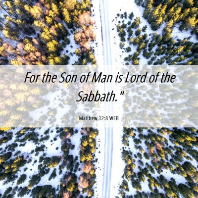 Picture 06 - Matthew 12:8 WEB - For the Son of Man is Lord of the - Bible Verse Picture