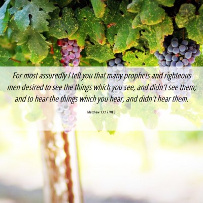 Picture 06 - Matthew 13:17 WEB - For most assuredly I tell you that many prophets - Bible Verse Picture