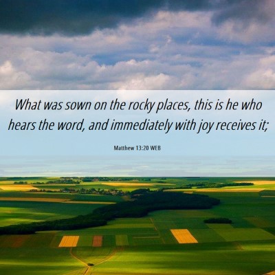 Picture 06 - Matthew 13:20 WEB - What was sown on the rocky places, this is he who - Bible Verse Picture