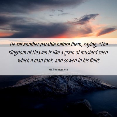 Picture 06 - Matthew 13:31 WEB - He set another parable before them, saying, 