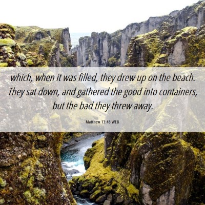Picture 06 - Matthew 13:48 WEB - which, when it was filled, they drew up on the - Bible Verse Picture