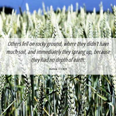 Picture 06 - Matthew 13:5 WEB - Others fell on rocky ground, where they didn't - Bible Verse Picture