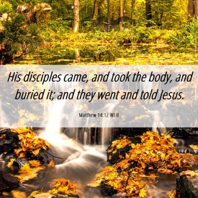 Picture 06 - Matthew 14:12 WEB - His disciples came, and took the body, and buried - Bible Verse Picture
