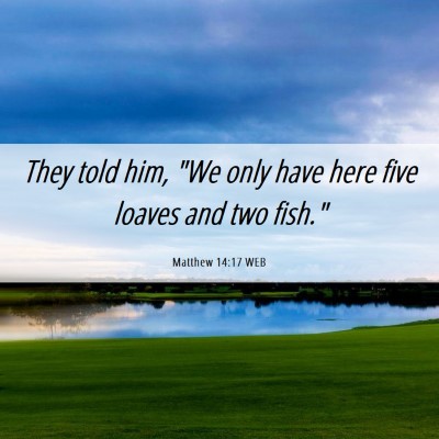Picture 06 - Matthew 14:17 WEB - They told him, 