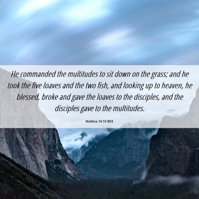 Picture 06 - Matthew 14:19 WEB - He commanded the multitudes to sit down on the - Bible Verse Picture
