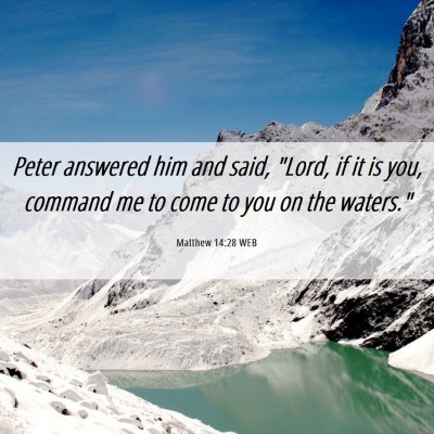 Picture 06 - Matthew 14:28 WEB - Peter answered him and said, 