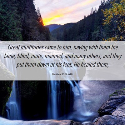 Picture 06 - Matthew 15:30 WEB - Great multitudes came to him, having with them - Bible Verse Picture