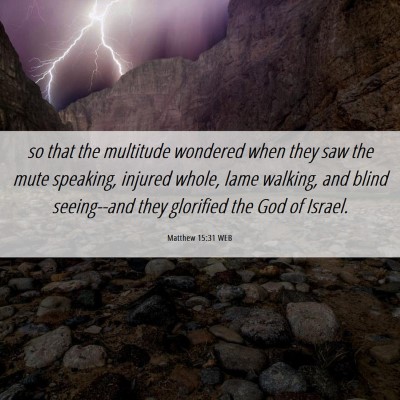 Picture 06 - Matthew 15:31 WEB - so that the multitude wondered when they saw the - Bible Verse Picture