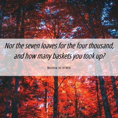Picture 06 - Matthew 16:10 WEB - Nor the seven loaves for the four thousand, and - Bible Verse Picture