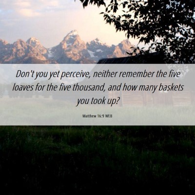 Picture 06 - Matthew 16:9 WEB - Don't you yet perceive, neither remember the five - Bible Verse Picture