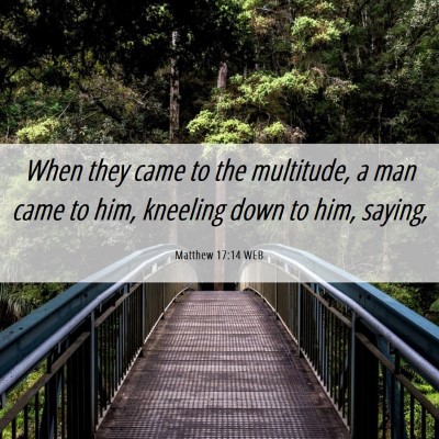 Picture 06 - Matthew 17:14 WEB - When they came to the multitude, a man came to - Bible Verse Picture