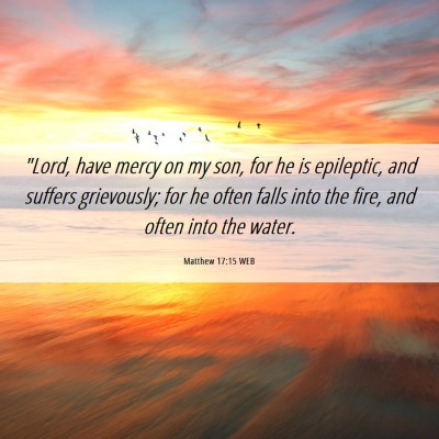 Picture 06 - Matthew 17:15 WEB - 