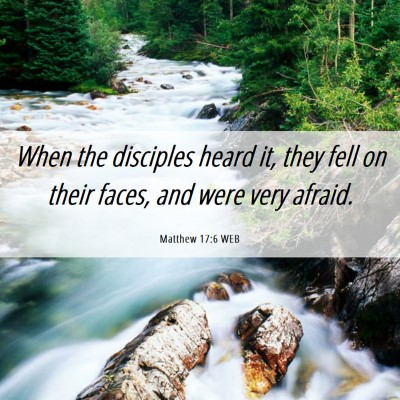 Picture 06 - Matthew 17:6 WEB - When the disciples heard it, they fell on their - Bible Verse Picture