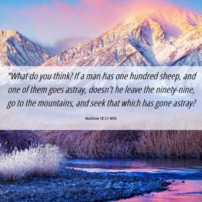 Picture 06 - Matthew 18:12 WEB - 