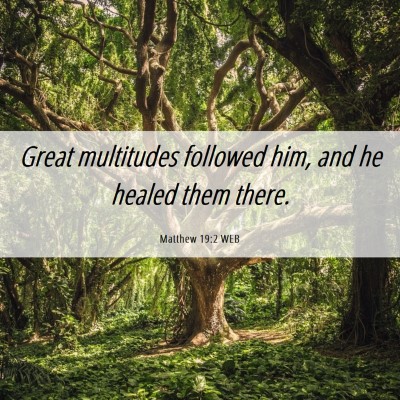 Picture 06 - Matthew 19:2 WEB - Great multitudes followed him, and he healed them - Bible Verse Picture