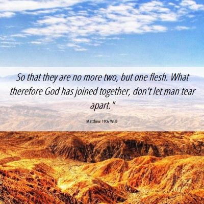Picture 06 - Matthew 19:6 WEB - So that they are no more two, but one flesh. What - Bible Verse Picture