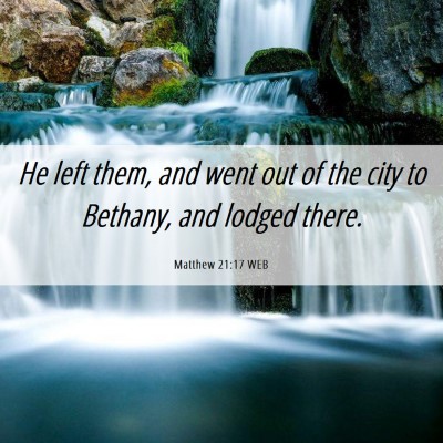 Picture 06 - Matthew 21:17 WEB - He left them, and went out of the city to - Bible Verse Picture