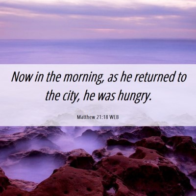 Picture 06 - Matthew 21:18 WEB - Now in the morning, as he returned to the city, - Bible Verse Picture