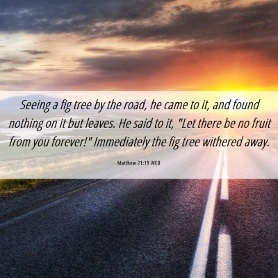 Picture 06 - Matthew 21:19 WEB - Seeing a fig tree by the road, he came to it, and - Bible Verse Picture