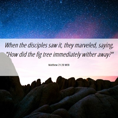 Picture 06 - Matthew 21:20 WEB - When the disciples saw it, they marveled, saying, - Bible Verse Picture