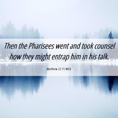 Picture 06 - Matthew 22:15 WEB - Then the Pharisees went and took counsel how they - Bible Verse Picture