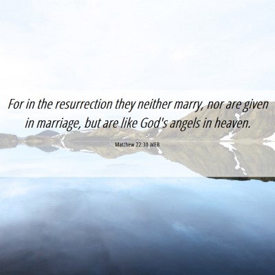 Picture 06 - Matthew 22:30 WEB - For in the resurrection they neither marry, nor - Bible Verse Picture
