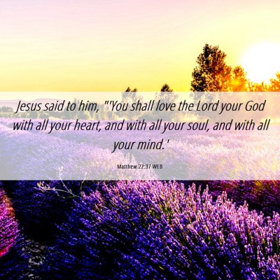 Picture 06 - Matthew 22:37 WEB - Jesus said to him, 