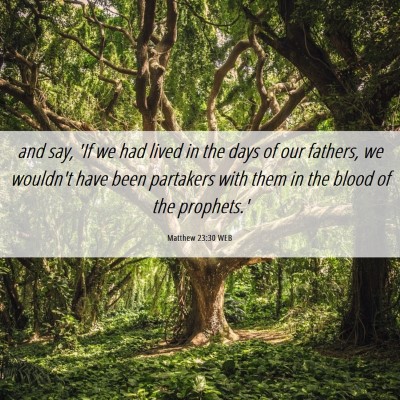 Picture 06 - Matthew 23:30 WEB - and say, 'If we had lived in the days of our - Bible Verse Picture
