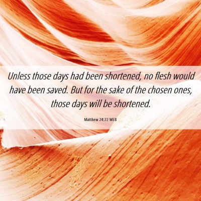 Picture 06 - Matthew 24:22 WEB - Unless those days had been shortened, no flesh - Bible Verse Picture