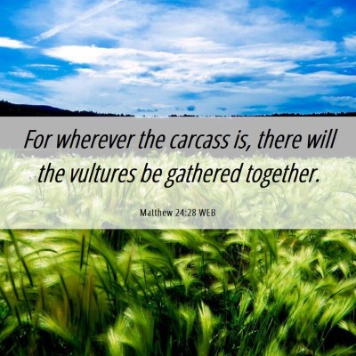 Picture 06 - Matthew 24:28 WEB - For wherever the carcass is, there will the - Bible Verse Picture