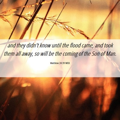 Picture 06 - Matthew 24:39 WEB - and they didn't know until the flood came, and - Bible Verse Picture