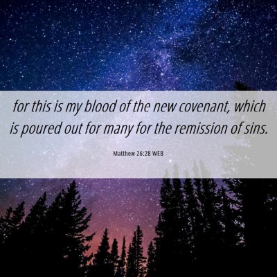 Picture 06 - Matthew 26:28 WEB - for this is my blood of the new covenant, which - Bible Verse Picture
