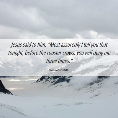 Picture 06 - Matthew 26:34 WEB - Jesus said to him, 