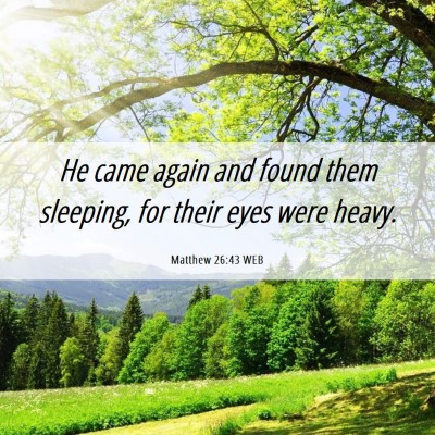 Picture 06 - Matthew 26:43 WEB - He came again and found them sleeping, for their - Bible Verse Picture